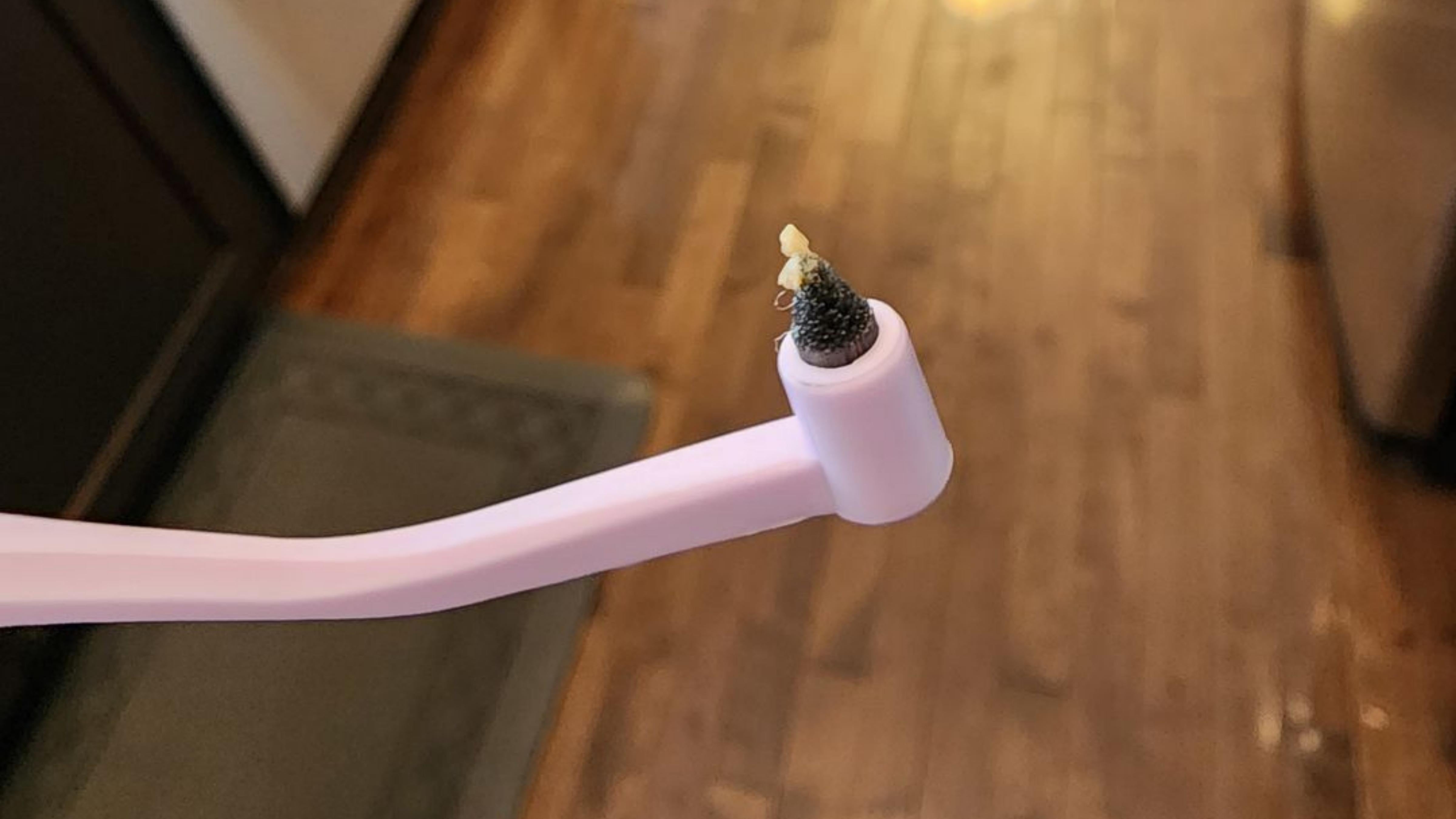 Get this toothbrush! I was  noticing that my cat Milo breath started to smell a bit fishy and he didn't really have any fishy treats at the time. I looked it up and it was due to plaque. When I tried the brushes you get at the store it was way too big for our little guys mouth. So I got this one, it was a GAME CHANGER!!  The first two days of me using it, plaque was literally FLYING out of his mouth. It was NASTY!  This photo is what happened after put the brush on his teeth for less then a second. We have been using it for a month now everyday, the fishy smell is all gone AND there is no more insane amount of plaque on his teeth. I have honestly been recommending this toothbrush to everyone with a cat!